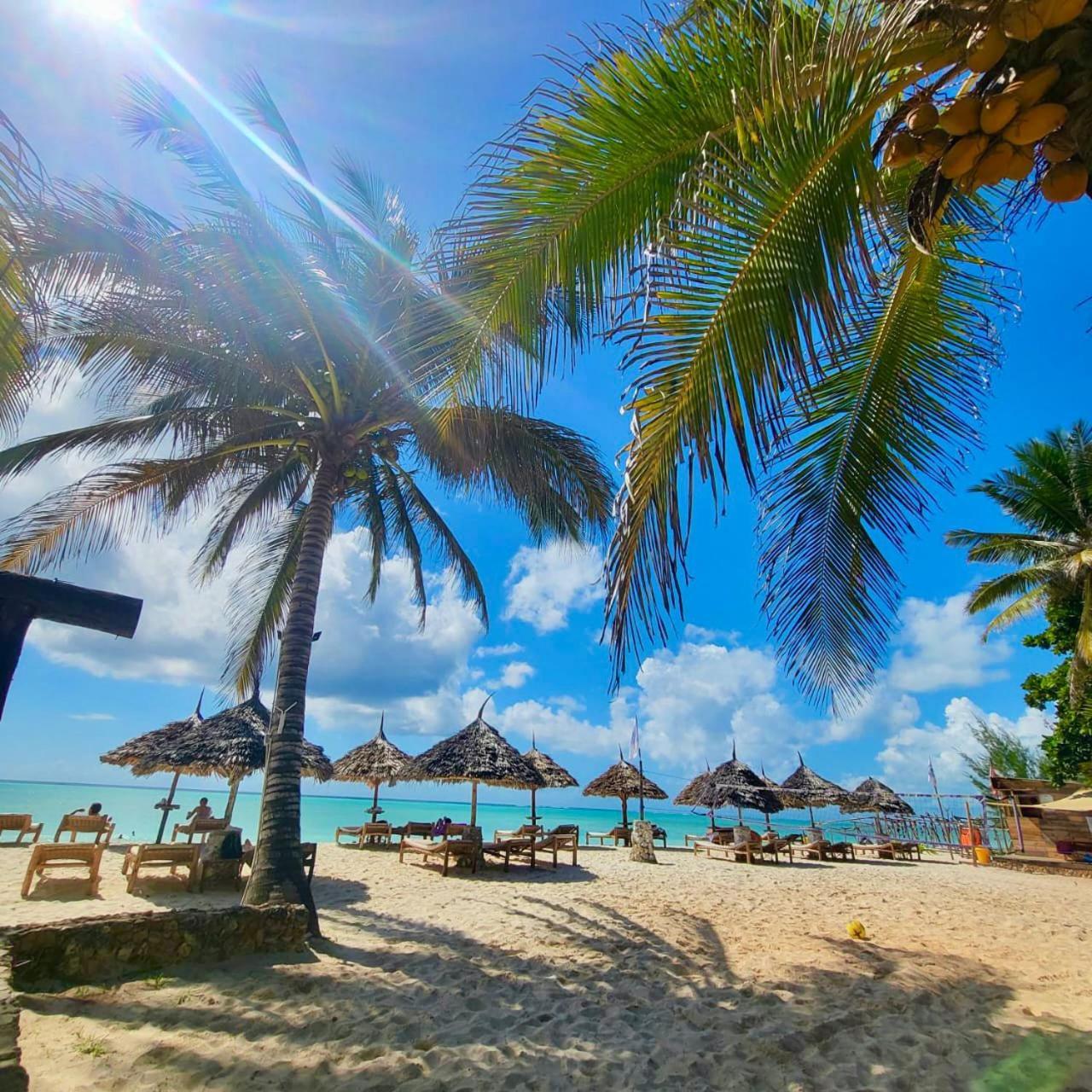 Mambo Ocean Resort Пвани-Мчангани Экстерьер фото